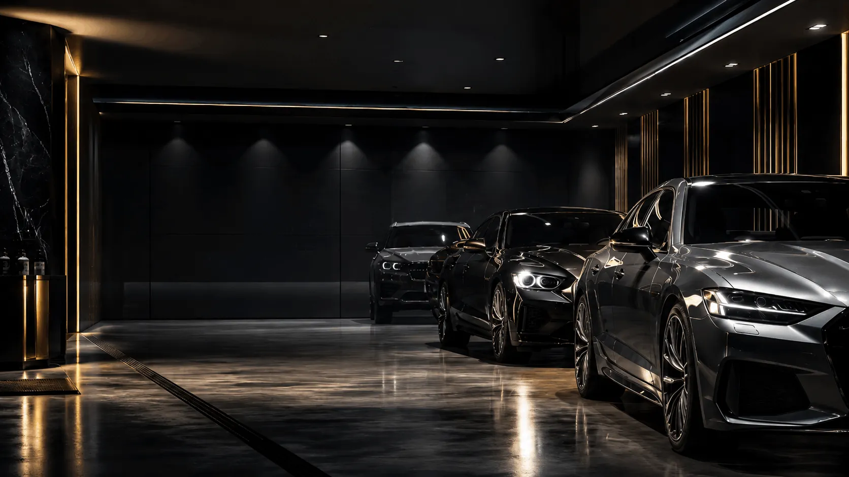 Professional car care studio